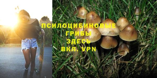 apvp Абаза