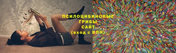 прущие крисы Алексин